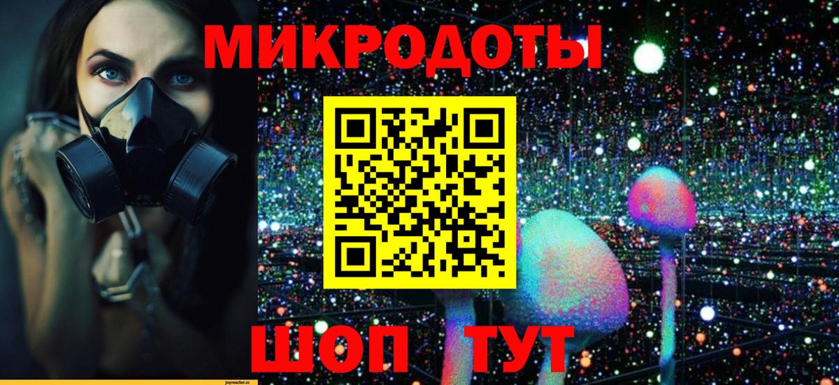 Галлюциногенные грибы Psilocybine cubensis Сертолово