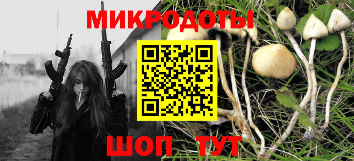 Сертолово  Псилоцибиновые грибы MAGIC MUSHROOMS  купить наркотики цена  Вход с VPN 