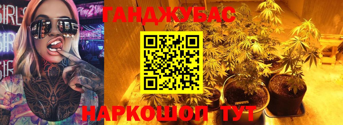 Конопля сатива Сертолово